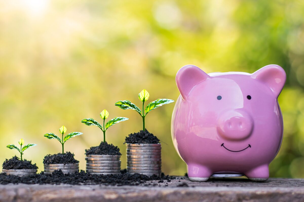 activité VDI saucisson complément de revenu flexible